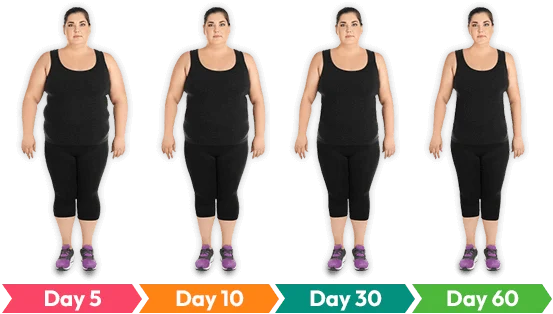 Trimology Gut Health & Weight Support